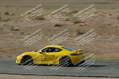 media/Apr-03-2022-CCCR Porsche (Sun) [[45b12865df]]/2-yellow/Session 1/Speed Pan/